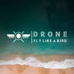 Soaring Over Ocean Waves with Drone Design Logo Template