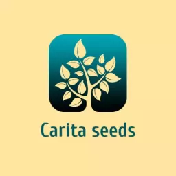 Soft Gradient Tree Design Representing Nature and Growth Logo Template