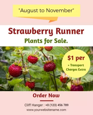 Strawberry Plants Sale Promotional Flyer Template