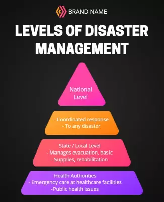 Structured Infographic on Levels of Disaster Management Poster Template