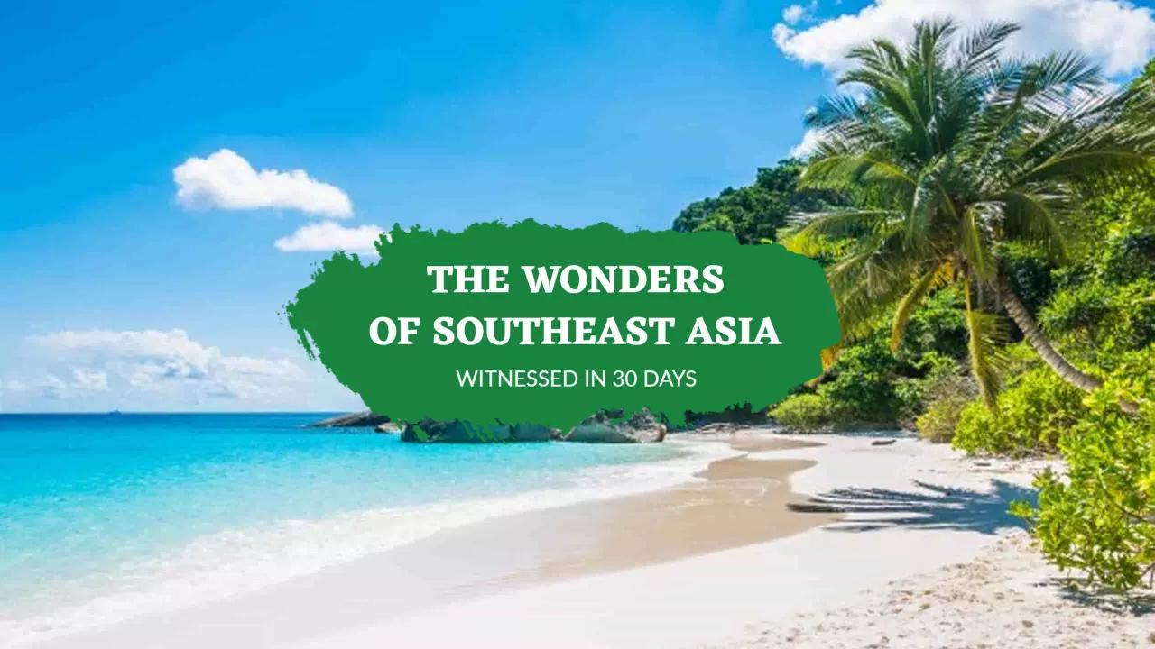 Stunning Tropical Beach and Clear Waters YouTube Banner Template