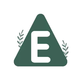 Stylish Green Triangle Featuring Letter E Design Logo Template