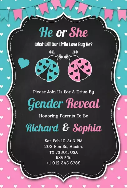 Sweet Ladybug Themed Gender Reveal Celebration Invitation Template