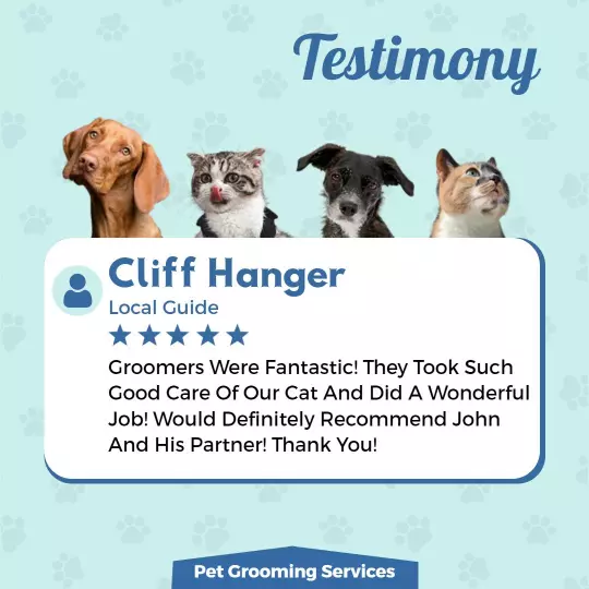 Testimonial for Excellent Pet Grooming Services Review Ad Template