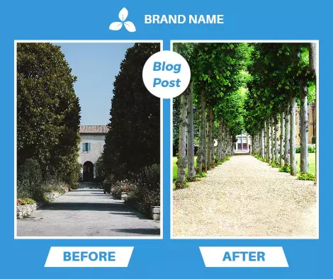 Transformative Nature Landscape Before and After Poster Template
