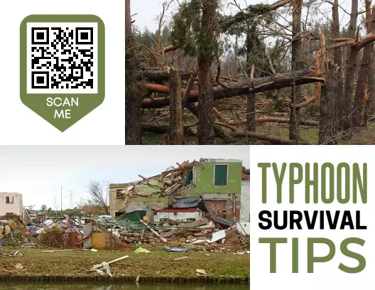 Typhoon Survival Tips for Environmental Safety Brochure Template