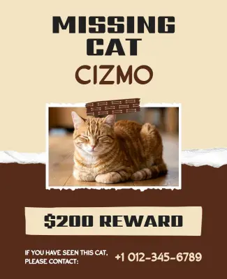 Urgent Alert for Missing Cat Cizmo Reward Offer Poster Template