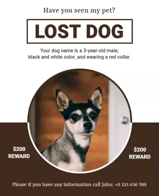 Urgent Brown Lost Dog Notice with Reward Poster Template