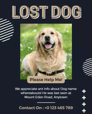 Urgent Call for Help Lost Dog Missing Poster Template