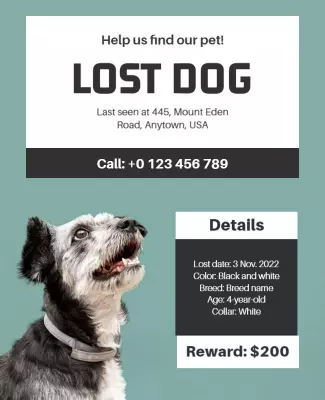 Urgent Call-to-Action Lost Dog Poster Template