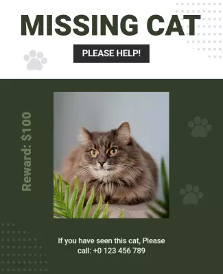 Urgent Green Missing Cat Reward Poster Template