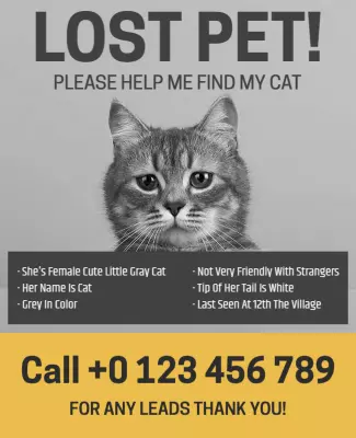 Urgent Grey Lost Cat Missing Pet Flyer Template