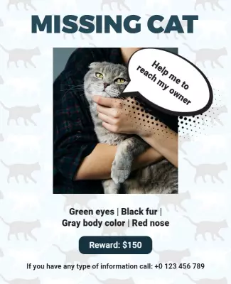 Urgent Missing Cat Alert with Reward Poster Template
