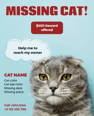 Urgent Missing Cat Notice with Reward Offer Poster Template