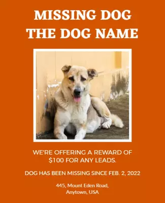 Urgent Missing Dog Alert with Reward Offer Poster Template