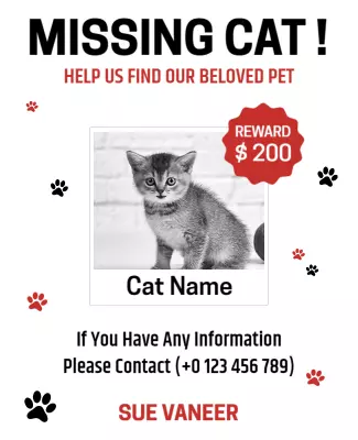Urgent Missing Pet Alert for Cat with Reward Poster Template