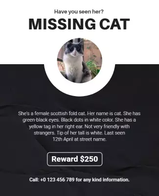 Urgent Missing Pet Announcement for Cat Lovers Poster Template