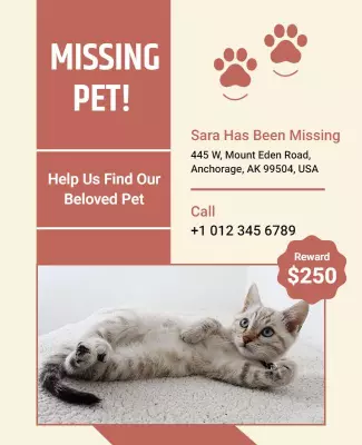 Urgent Missing Pet Notice with Cute Cat Image Poster Template