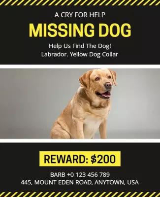 Urgent Yellow Missing Dog Pet Poster Template