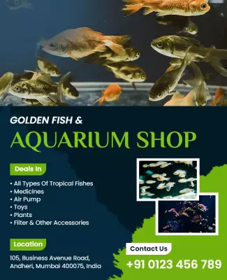 Vibrant Aquatic Life Showcase for Aquarium Shop Poster Template