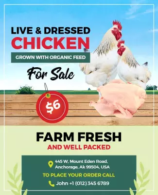 Vibrant Farm Fresh Organic Chicken For Sale Poster Template