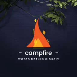 Vibrant Orange Flickering Flames Highlight Campfire Logo Template