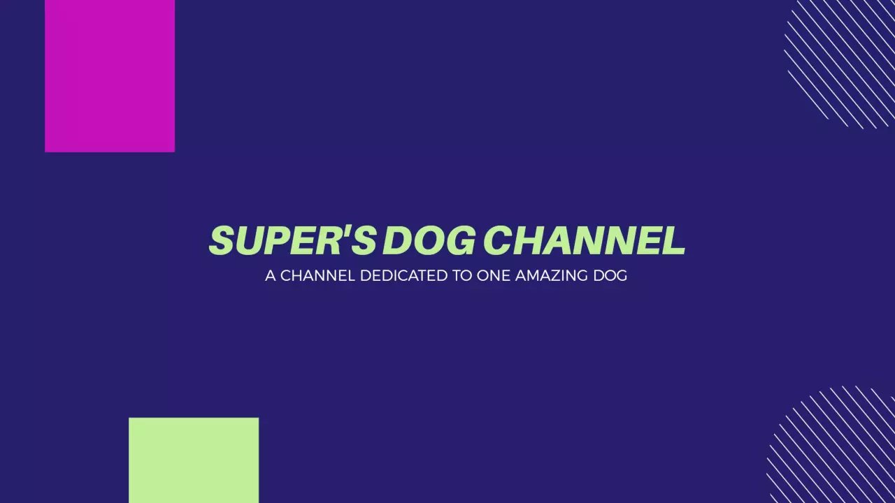 Vibrant Purple and Geometric Shapes for YouTube Channel Banner Template