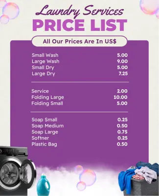 Vibrant Purple Laundry Services Pricing Information Flyer Template