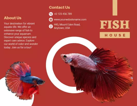 Vibrant Red Fish House Aquarium Services Brochure Template