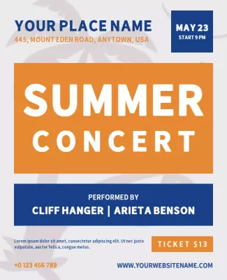 Vibrant Summer Concert Event Celebration Poster Template