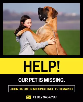 Vibrant Yellow Missing Pet Announcement Poster Template