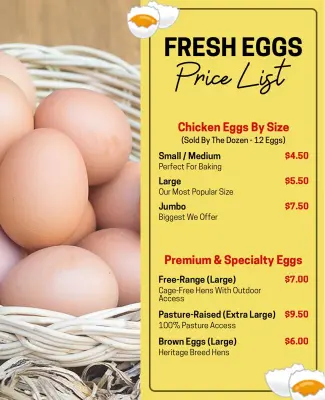 Vibrant Yellow Organic Fresh Egg Pricing Information Flyer Template