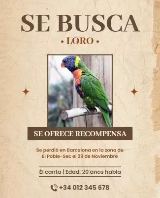 Vintage Lost Parrot Reward Announcement Poster Template