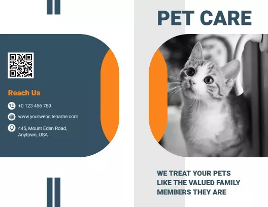 Warm Orange and Blue Modern Pet Care Services Brochure Template