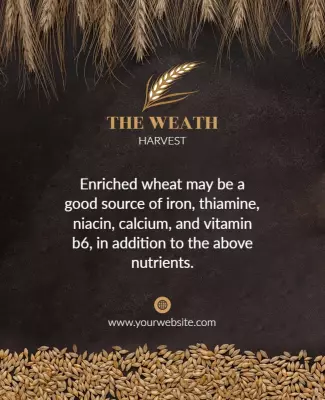Wheat Harvest Nutrition Information Flyer Template