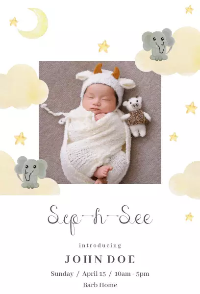 Whimsical Animal Theme Sip & See Baby Introduction Invitation Template
