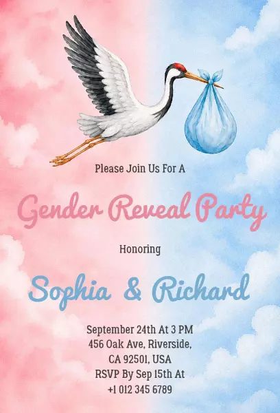 Whimsical Stork Gender Reveal Celebration Invitation Template
