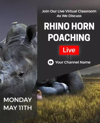 Wildlife Awareness Rhino Horn Poaching Live Discussion Poster Template