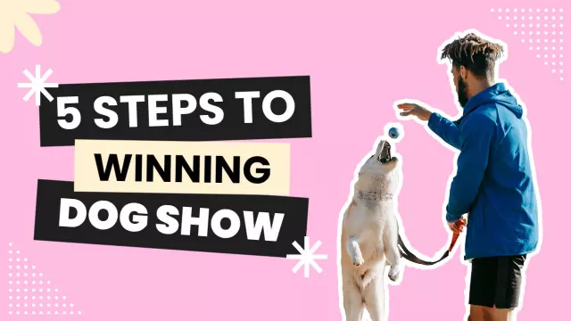 Winning Dog Show Tips Training Trending YouTube Thumbnail Template
